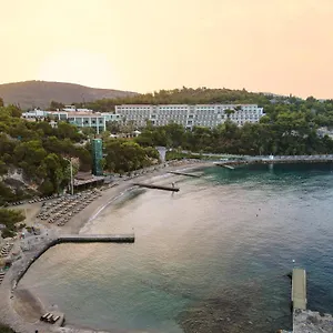 Resort Pine Bay
